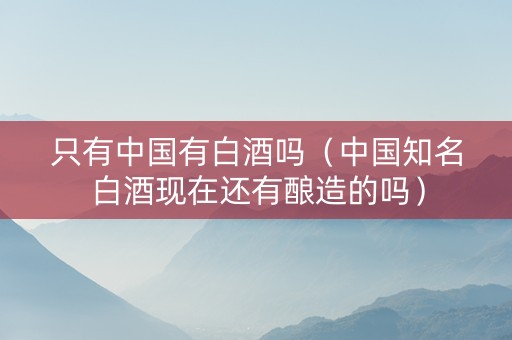 只有中国有白酒吗（中国知名白酒现在还有酿造的吗）