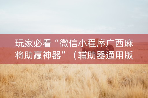 玩家必看“微信小程序广西麻将助赢神器”（辅助器通用版)
