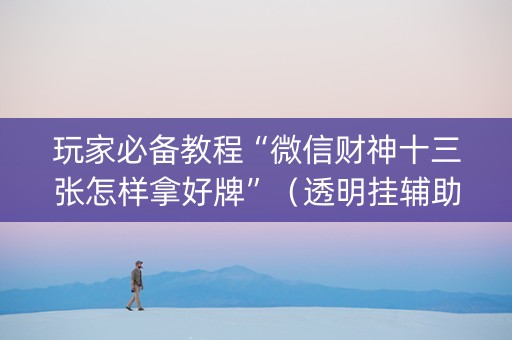 玩家必备教程“微信财神十三张怎样拿好牌”（透明挂辅助器)