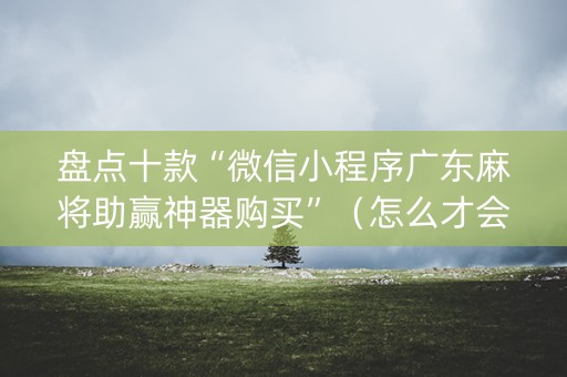 盘点十款“微信小程序广东麻将助赢神器购买”（怎么才会赢)