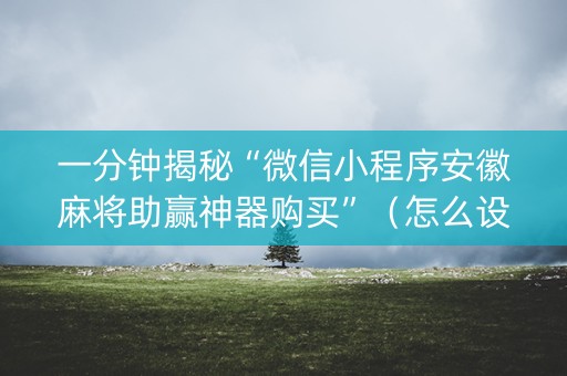 一分钟揭秘“微信小程序安徽麻将助赢神器购买”（怎么设置才能赢)