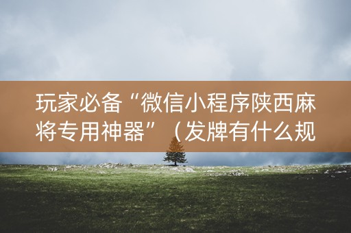 玩家必备“微信小程序陕西麻将专用神器”（发牌有什么规律吗)