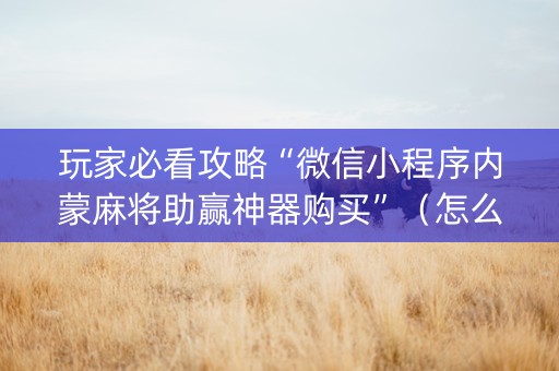 玩家必看攻略“微信小程序内蒙麻将助赢神器购买”（怎么设置能有好牌)