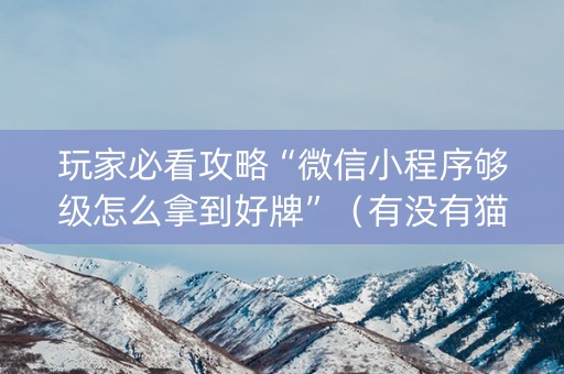 玩家必看攻略“微信小程序够级怎么拿到好牌”（有没有猫腻)