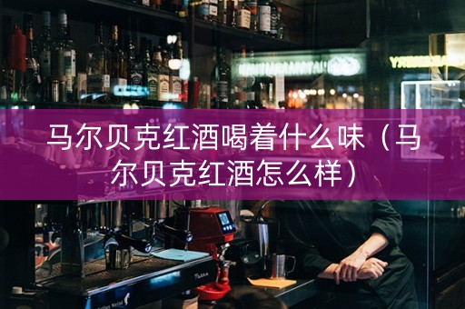 马尔贝克红酒喝着什么味（马尔贝克红酒怎么样）
