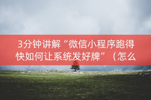 3分钟讲解“微信小程序跑得快如何让系统发好牌”（怎么能让牌好一点)