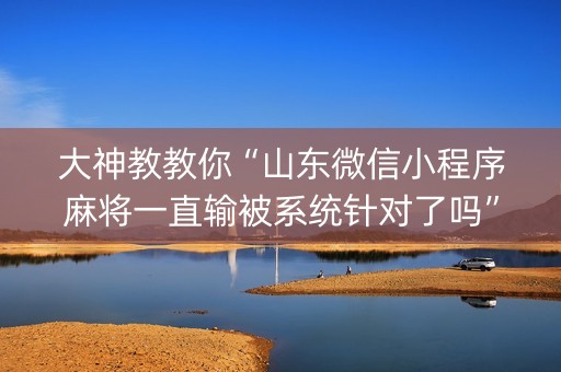 大神教教你“山东微信小程序麻将一直输被系统针对了吗”（AI辅助胡牌规则)