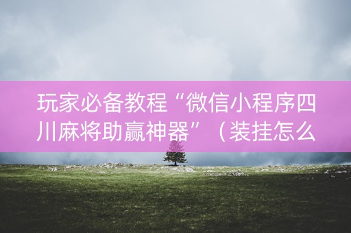 玩家必备教程“微信小程序四川麻将助赢神器”（装挂怎么安装)
