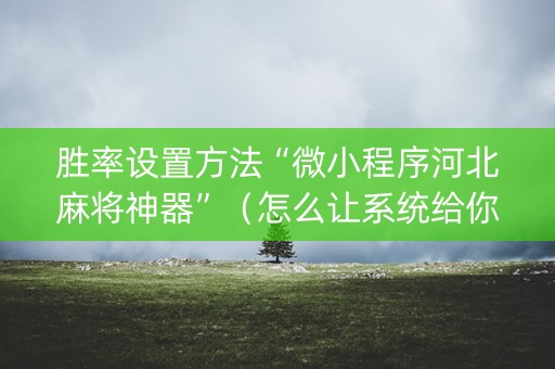 胜率设置方法“微小程序河北麻将神器”（怎么让系统给你发好牌)