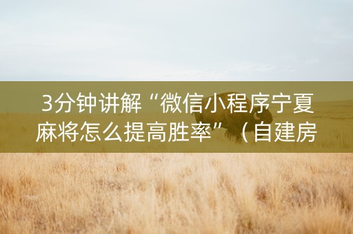3分钟讲解“微信小程序宁夏麻将怎么提高胜率”（自建房怎么拿好牌)