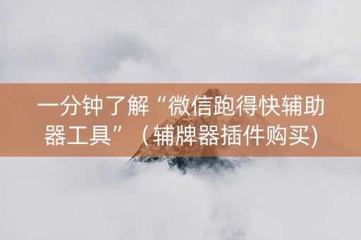 一分钟了解“微信跑得快辅助器工具”（辅牌器插件购买)
