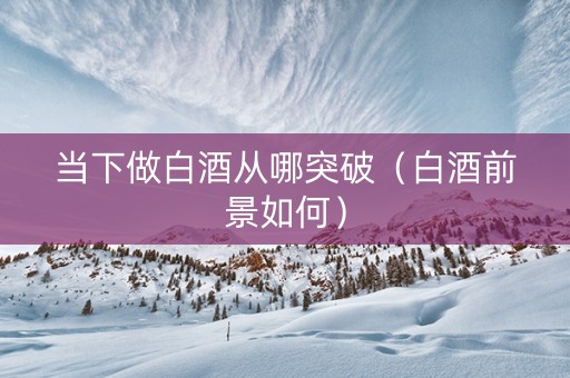 当下做白酒从哪突破（白酒前景如何）