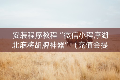安装程序教程“微信小程序湖北麻将胡牌神器”（充值会提高胜率么)
