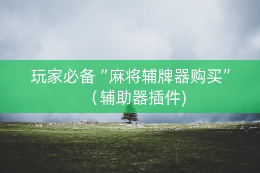 玩家必备“麻将辅牌器购买”（辅助器插件)