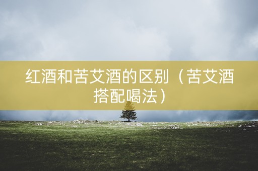红酒和苦艾酒的区别（苦艾酒搭配喝法）