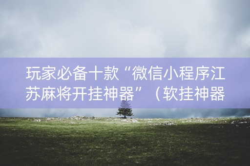 玩家必备十款“微信小程序江苏麻将开挂神器”（软挂神器)