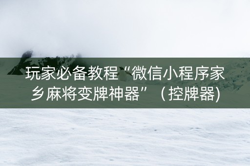 玩家必备教程“微信小程序家乡麻将变牌神器”（控牌器)