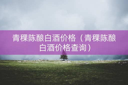 青稞陈酿白酒价格（青稞陈酿白酒价格查询）