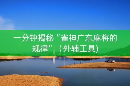 一分钟揭秘“雀神广东麻将的规律”（外辅工具)