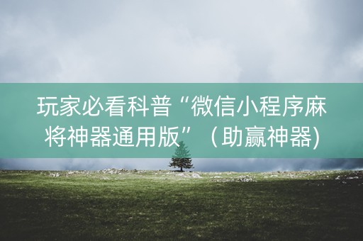 玩家必看科普“微信小程序麻将神器通用版”（助赢神器)