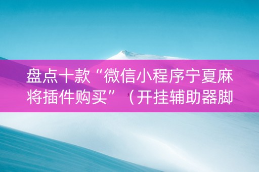 盘点十款“微信小程序宁夏麻将插件购买”（开挂辅助器脚本)