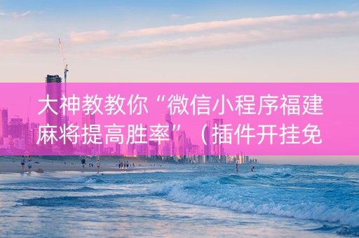 大神教教你“微信小程序福建麻将提高胜率”（插件开挂免费AI)