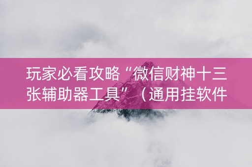 玩家必看攻略“微信财神十三张辅助器工具”（通用挂软件多少钱)