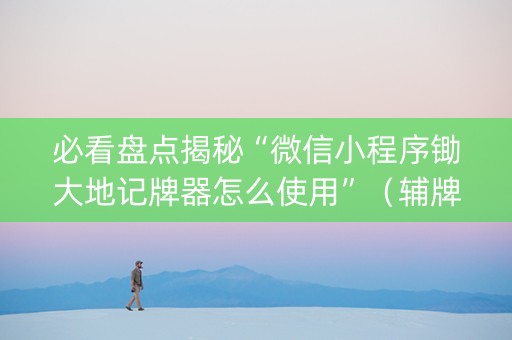 必看盘点揭秘“微信小程序锄大地记牌器怎么使用”（辅牌器插件购买)