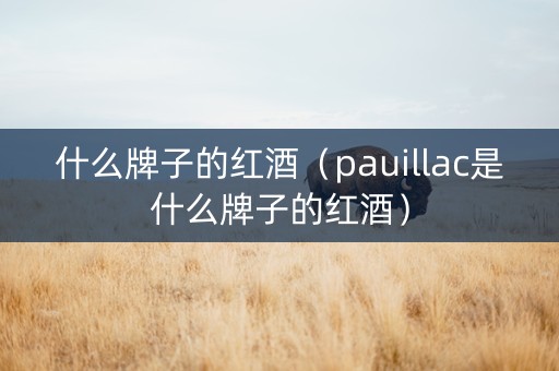 什么牌子的红酒（pauillac是什么牌子的红酒）