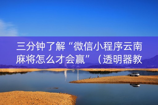 三分钟了解“微信小程序云南麻将怎么才会赢”（透明器教程)