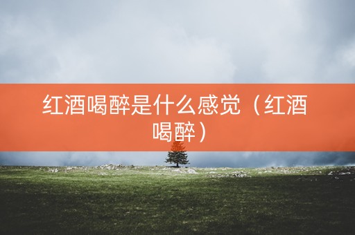 红酒喝醉是什么感觉（红酒 喝醉）