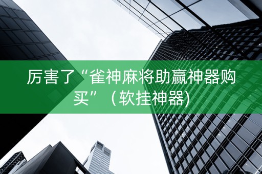 厉害了“雀神麻将助赢神器购买”（软挂神器)