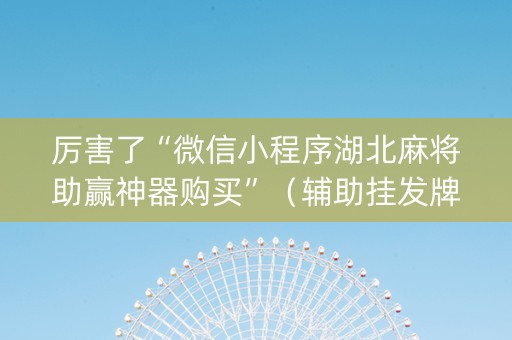 厉害了“微信小程序湖北麻将助赢神器购买”（辅助挂发牌规律)