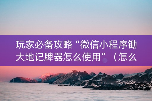 玩家必备攻略“微信小程序锄大地记牌器怎么使用”（怎么才会赢)