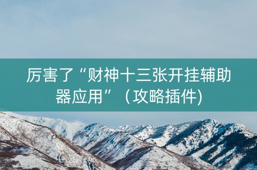 厉害了“财神十三张开挂辅助器应用”（攻略插件)