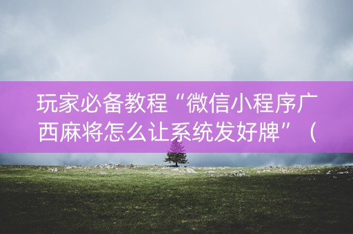 玩家必备教程“微信小程序广西麻将怎么让系统发好牌”（外辅工具)