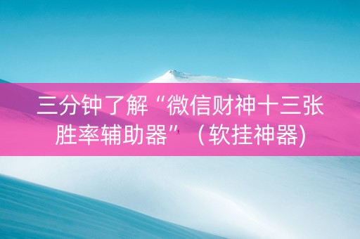 三分钟了解“微信财神十三张胜率辅助器”（软挂神器)