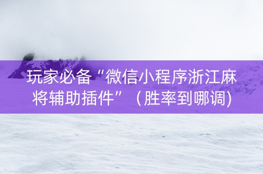玩家必备“微信小程序浙江麻将辅助插件”（胜率到哪调)