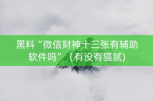 黑料“微信财神十三张有辅助软件吗”（有没有猫腻)
