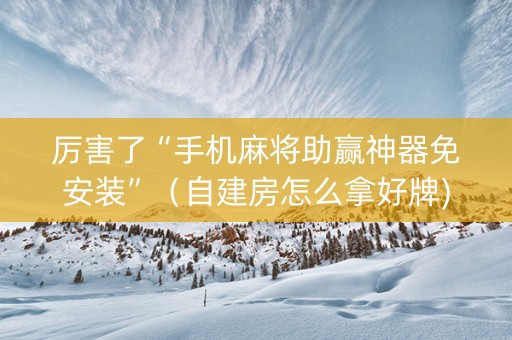 厉害了“手机麻将助赢神器免安装”（自建房怎么拿好牌)