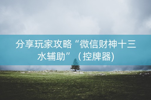 分享玩家攻略“微信财神十三水辅助”（控牌器)