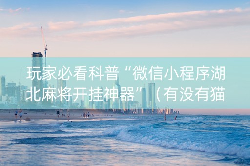 玩家必看科普“微信小程序湖北麻将开挂神器”（有没有猫腻)