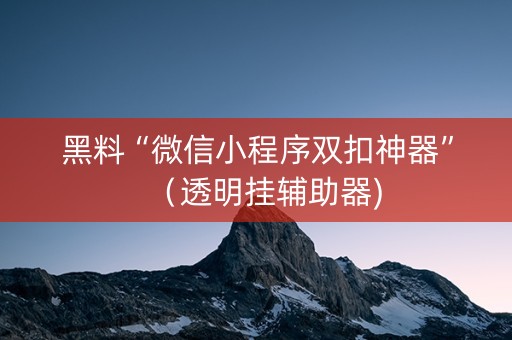 黑料“微信小程序双扣神器”（透明挂辅助器)