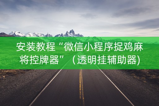安装教程“微信小程序捉鸡麻将控牌器”（透明挂辅助器)