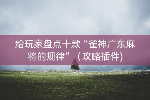 给玩家盘点十款“雀神广东麻将的规律”（攻略插件)