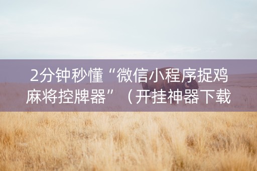 2分钟秒懂“微信小程序捉鸡麻将控牌器”（开挂神器下载)