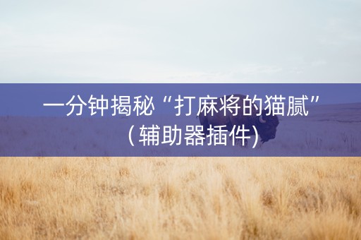 一分钟揭秘“打麻将的猫腻”（辅助器插件)