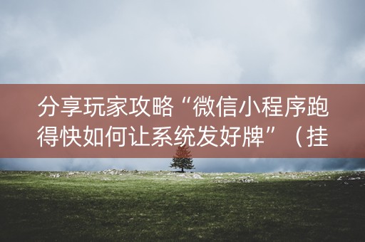 分享玩家攻略“微信小程序跑得快如何让系统发好牌”（挂件神器)