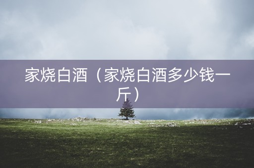家烧白酒（家烧白酒多少钱一斤）