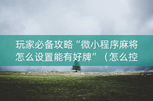 玩家必备攻略“微小程序麻将怎么设置能有好牌”（怎么控制输赢)